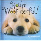 You're Woof-derful By Rachael Hale